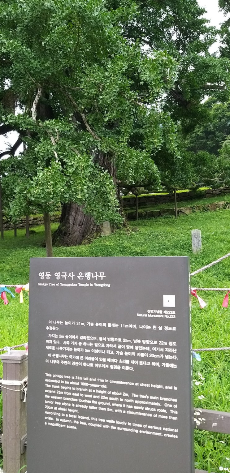  여름 휴가로 시골을 내려왔다.