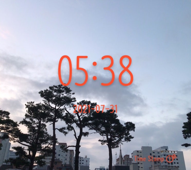  다시, 알찬하루 만들기 ~  (69일차)