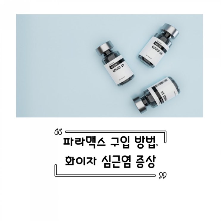  피라맥스 구입 방법과 화이자 심근염 증상 확인하세요