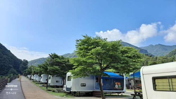  영천 치산카라반 치산계곡 캠핑장 여름휴가지로 딱이지만