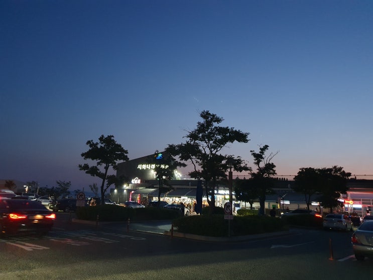  시화나래휴게소로 근교 드라이브