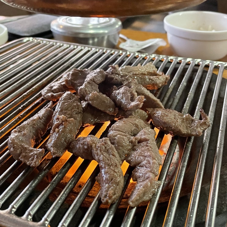  전주 전북대 서래갈매기