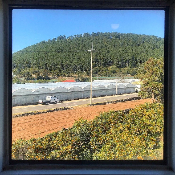  제주 지니아펜션 : 제주애월펜션 • 제주한달살기숙소추천 • 제주프라이빗숙소 • 제주감귤밭펜션