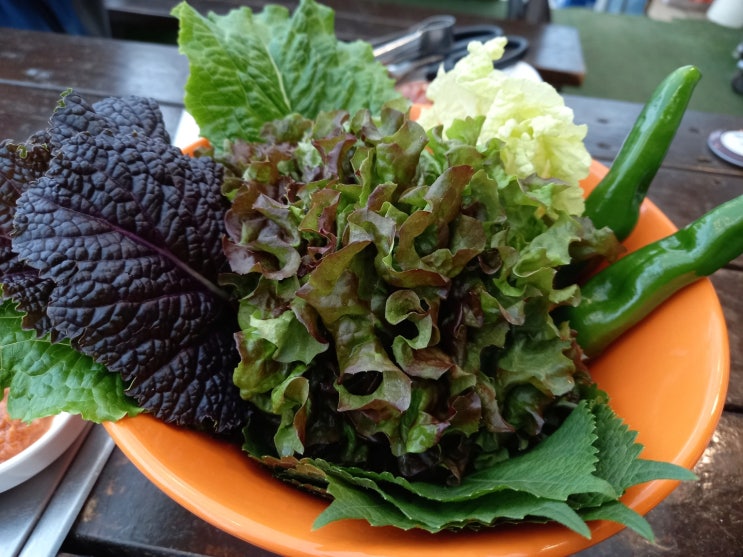  수원 도시락 림과함께 일상 호매실동 갈비집 반찬 항상 배우는 자세