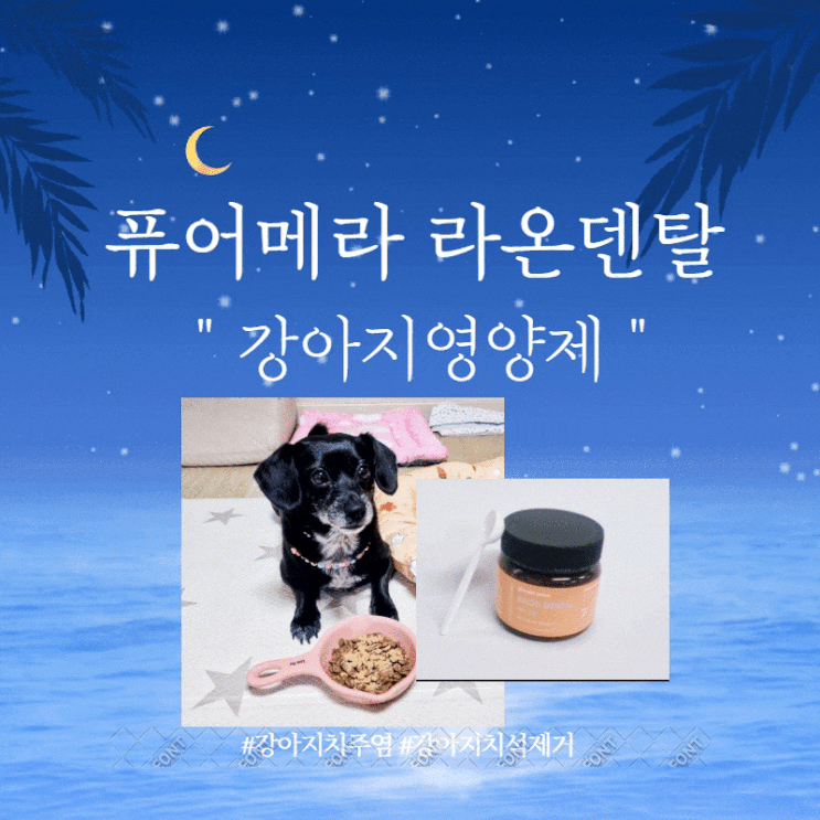 강아지 영양제 : 강아지 치주염 / 치석제거에는 기호성 좋은 퓨어메라 라온덴탈로 강아지 영양제 : 강아지 치주염 / 치석제거에는 기호성 좋은 퓨어메라 라온덴탈로