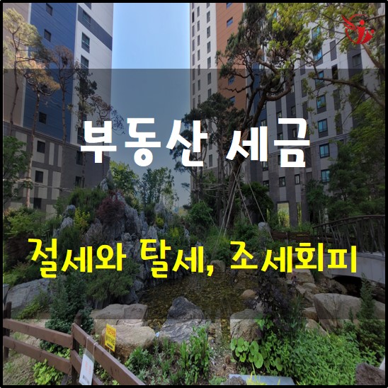  부동산 세금 - 절세와 탈세, 조세회피