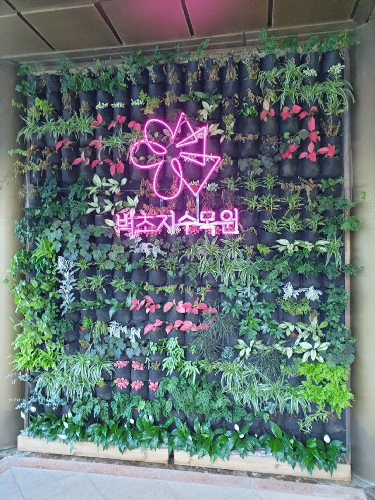  파주아이와가볼만한곳 벽초지수목원 파주주말나들이