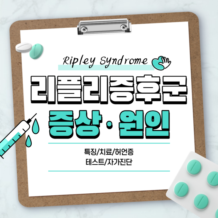 리플리 증후군 증상 및 원인 【#테스트 #특징 #치료 #허언증 #자가진단】