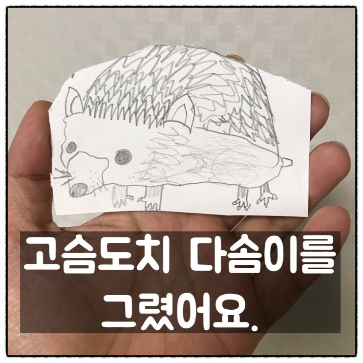  [육아기록] 고슴도치 다솜이를 그렸어요