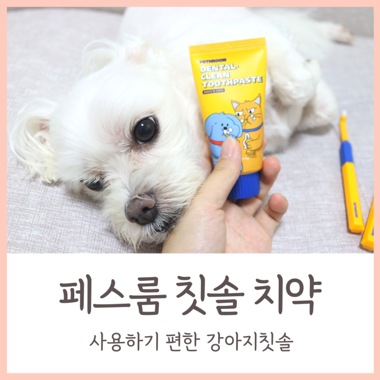  페스룸 칫솔 치약 후기 / 사용하기 편한 강아지 칫솔