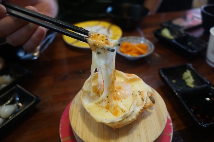 [부산 초읍 맛집] 가성비좋고 싱싱한 단골 회전초밥집, 스시투어