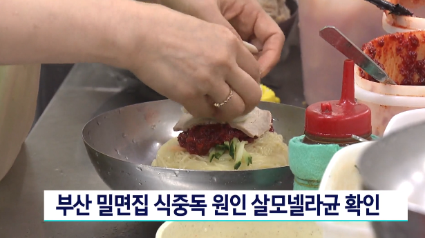  부산 밀면 식중독 원인 살모넬라균 집단 감염 연제구 연산동 토곡 위치