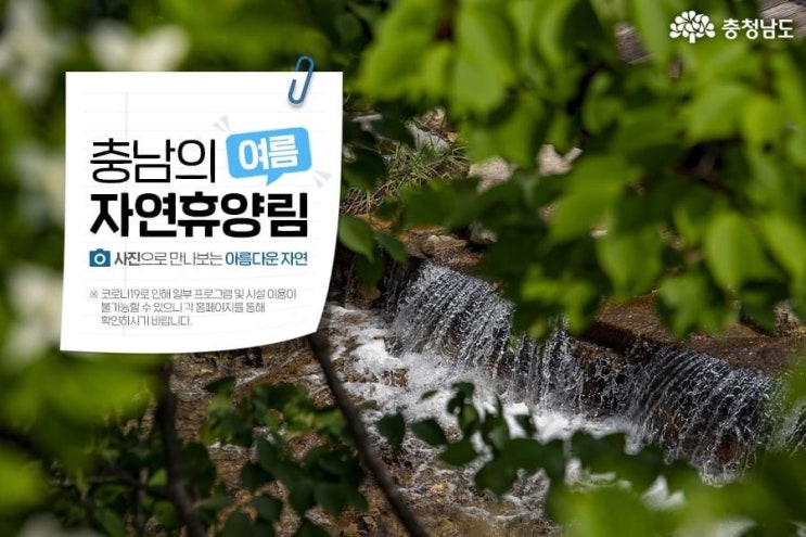 충남 가볼만한곳 충남의 여름 자연휴양림 사진으로 만나보는 아름다운 자연 | 충남도청페이스북