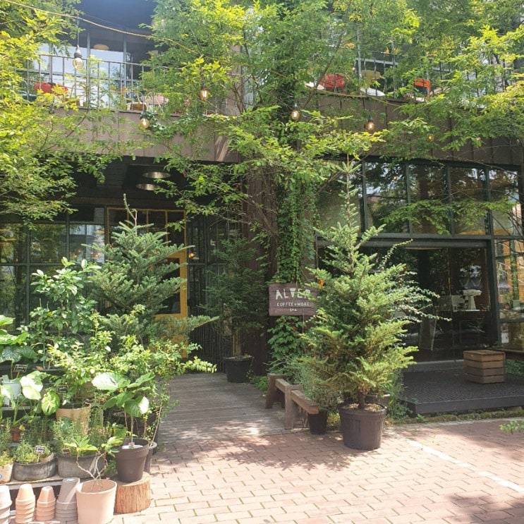  강남 카페 _ 알베르 (Alver) 넓고 쾌적해요:)