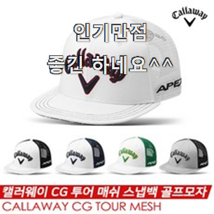 실시간 스냅백골프모자 인기 확실한 정보네요.