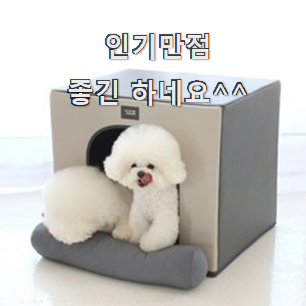  특별할인 강아지집 인기템 남편이 좋아하네요