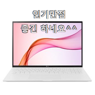  강력추천 lg그램202117 베스트 인싸템 과장님이 알아봐주네요.