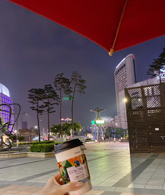  내가 찍은 사진기록_사진첩 01. “여름밤”