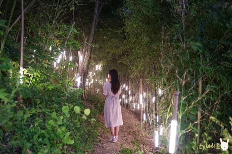 순천 여행 코스 우리동네클라쓰 유룡마을과 와온해변 일몰 순천 여행 코스 우리동네클라쓰 유룡마을과 와온해변 일몰