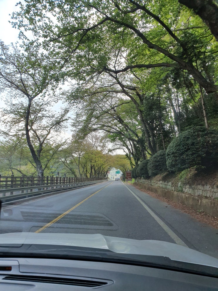  [못 가본 길]