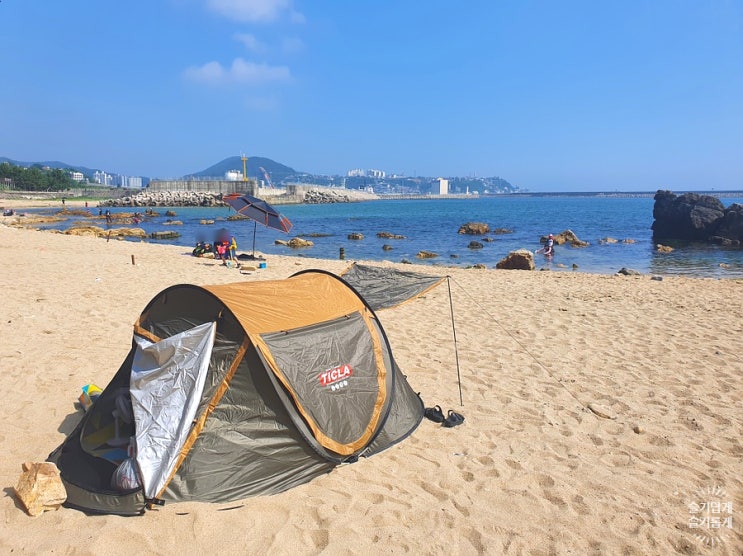  강원도/동해여행:: 3박4일 묵호에서