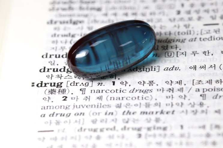  팜론이란?