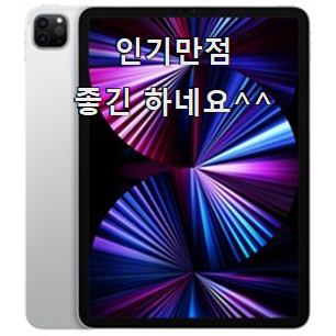  콕 찝어알려드림 아이패드 가성비 순위 단골집 사장님이 추천이에요.