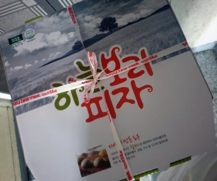  배달] 하늘보리 피자 / 동근이숯불두마리치킨