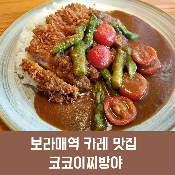  보라매역 카레 맛집 코코이찌방야, 다양한 카레와 토핑을 조합해먹을 수 있는 보라매 카레 맛집