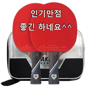 퀄리티 좋은 탁구채 인기 남편도 인정하네요