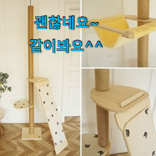 인기있는 고양이캣타워 상품 써보세요. 인기있는 고양이캣타워 상품 써보세요.