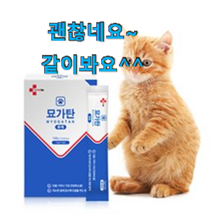 최고의 고양이츄르 목록 초이스 완벽해요. 최고의 고양이츄르 목록 초이스 완벽해요.