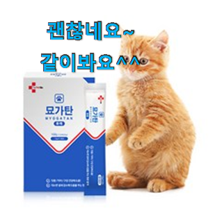 최고의 고양이츄르 목록 초이스 완벽해요.