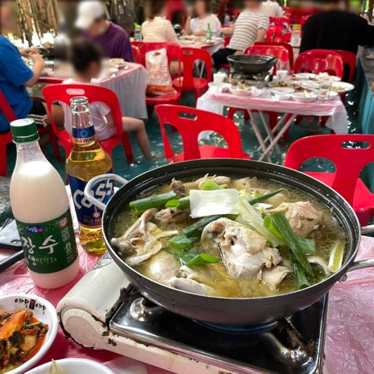  안양유원지 계곡, 발 담그고 먹는 애견동반 백숙 맛집. 폭포수식당