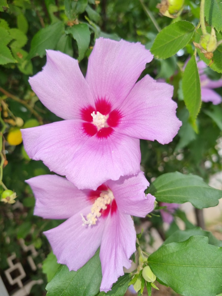  계약금 반환받은 사례