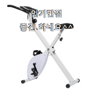  인생템 실내자전거 구매 이런게 행복이에요.