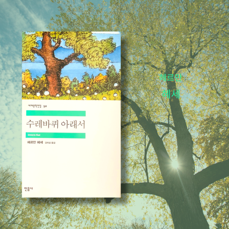  (고전문학) 수레바퀴 아래서 줄거리 | 민음사 세계문학전집 50. 헤르만 헤세 성장소설