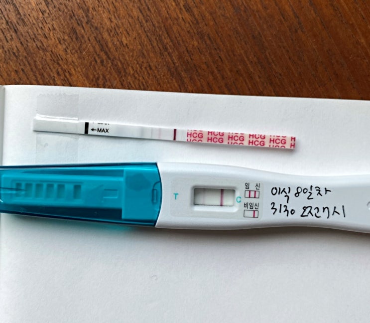  시험관 2차성공! 출혈과 응급실, 피고임,미주신경성실신. 임신초기 위급했던 순간들