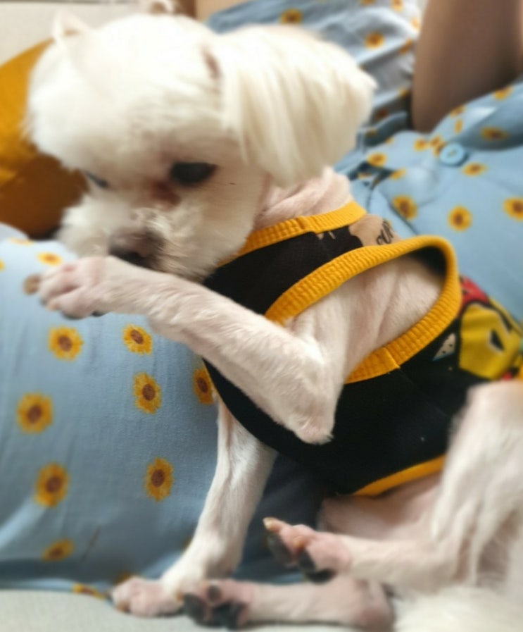  시건발생25시 완전범죄는 없다.