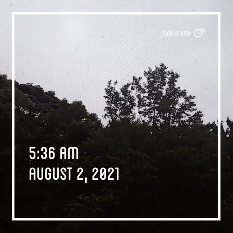  미라클 모닝 15일차!