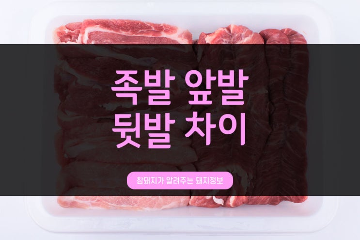  전통참돼지가 알려주는 돼지정보_족발 앞발 뒷발 차이점