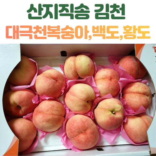 후기가 정말 좋은 산지직송 김천 대극천복숭아 백도 황도 2kg 4kg 4.5kg 딱딱이복숭아 말랑복숭아, 말랑이황도_4.5kg ···