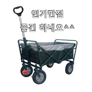  골라골라 캠핑웨건 상품정보 선물로도 최고네요.