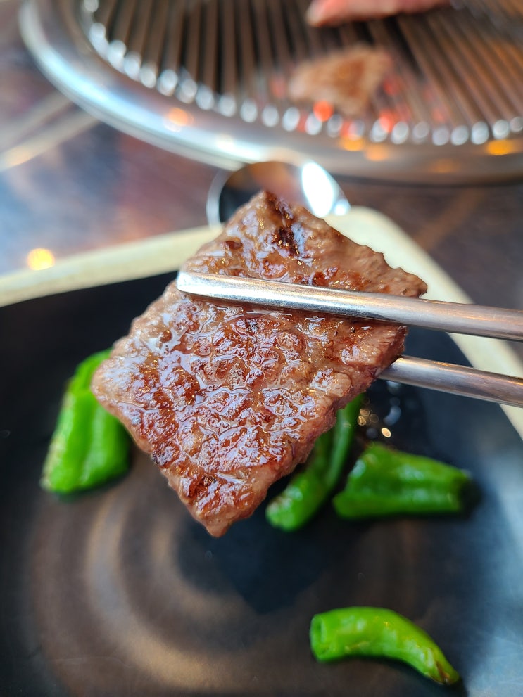  중앙대 맛집 콜키지프리 한우 소고기 고기집 박군하누 방문후기