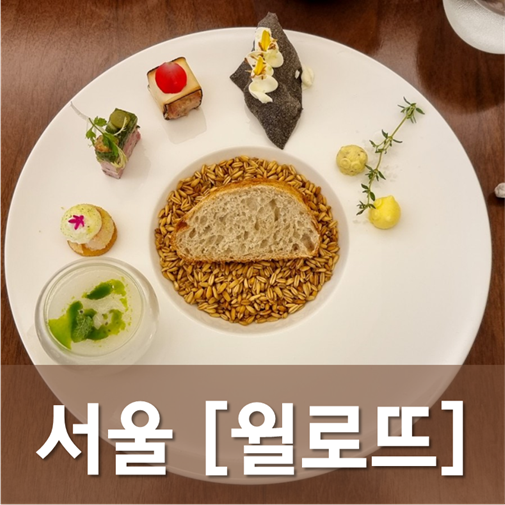  [서울/청담] 윌로뜨 - 푸릇한 프렌치레스토랑에서 아기자기한 오스트리아를 만나다