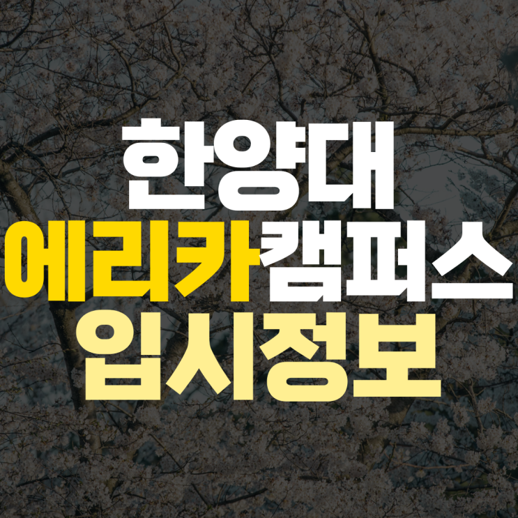  한양대 에리카 수시 교과 학종 경쟁률 수능 선택과목 최저 등급 수학 과학 수업해 주는 과외 선생님