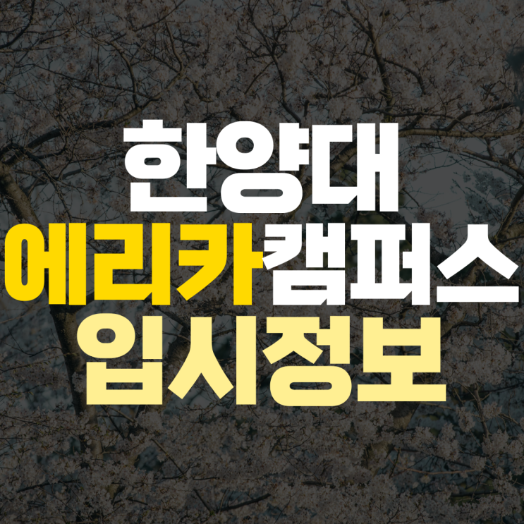 한양대 에리카 수시 교과 학종 경쟁률 수능 선택과목 최저 등급 수학 과학 수업해 주는 과외 선생님