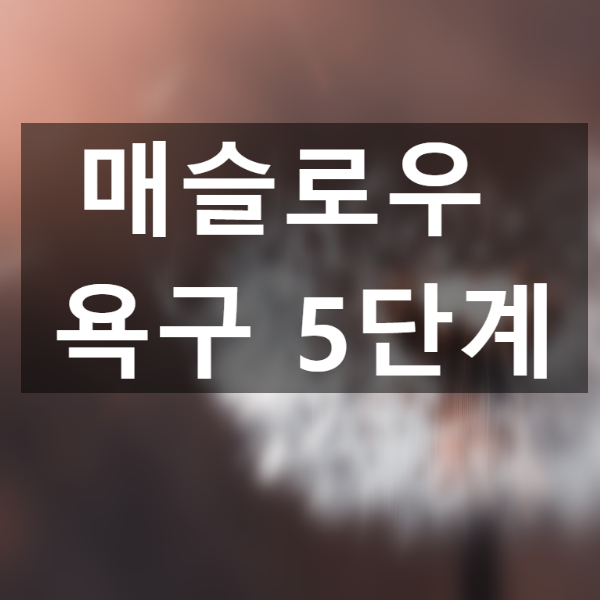  매슬로우 욕구 5단계 흥미로운 심리 이론
