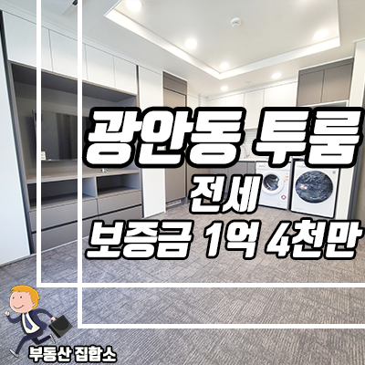 수영구 신축 투룸 전세 : 광안동 엘이즈G20 보증보험 의무가입 수영구 신축 투룸 전세 : 광안동 엘이즈G20 보증보험 의무가입