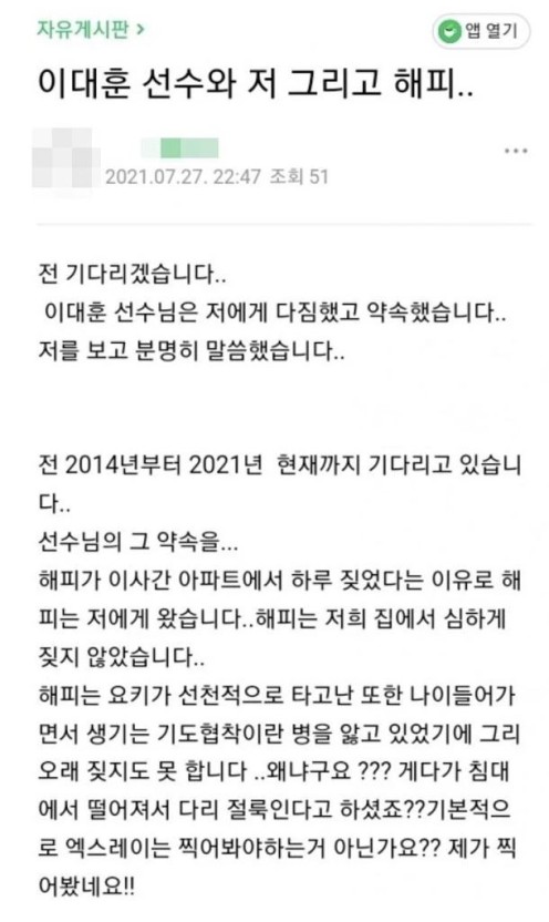 태권도 이대훈, '반려견 학대, 파양 의혹'